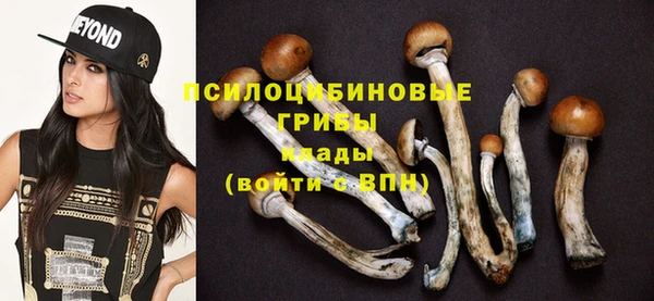 стафф Армянск