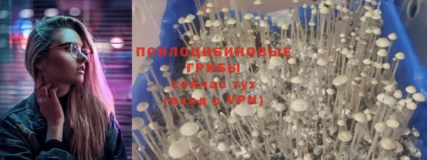 соль курить ск Каменка